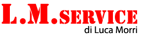 LM Service